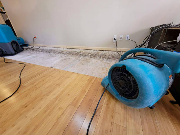 Professional Structural Drying technician working in Mokane, MO